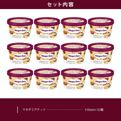 ハーゲンダッツ『ミニカップ12個セット(マカデミアナッツ味)』アイスクリーム_H0016-118