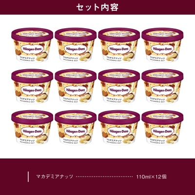 ハーゲンダッツ『ミニカップ12個セット(マカデミアナッツ味)』アイスクリーム_H0016-118