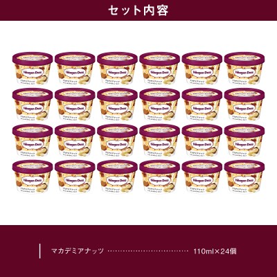 ハーゲンダッツ『ミニカップ24個セット(マカデミアナッツ味)』アイスクリーム_H0016-029