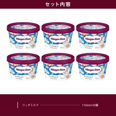 ハーゲンダッツ『ミニカップ6個セット(リッチミルク味)』アイスクリーム_H0016-030