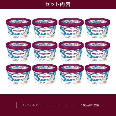 ハーゲンダッツ『ミニカップ12個セット(リッチミルク味)』アイスクリーム_H0016-032