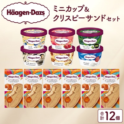 アイス ハーゲンダッツ ミニカップ 6個&クリスピーサンド6個_H0016-121