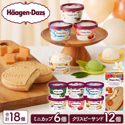 ハーゲンダッツ『ミニカップ(6個)&クリスピーサンド(12個)』アイスクリーム_H0016-036