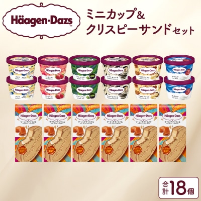 アイス ハーゲンダッツ ミニカップ12個&クリスピーサンド6個_H0016-126