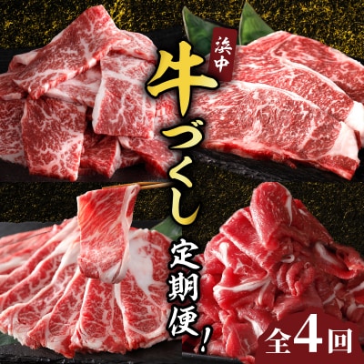 <全4回・連続>浜中牛づくし定期便(焼肉・ステーキ・すき焼き・切り落とし)_H0019-123