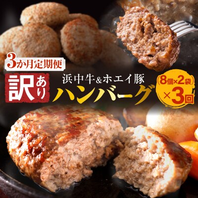 <全3回定期便・連続>【訳あり】浜中牛&ホエイ豚ハンバーグ定期便(計48個)_H0019-120