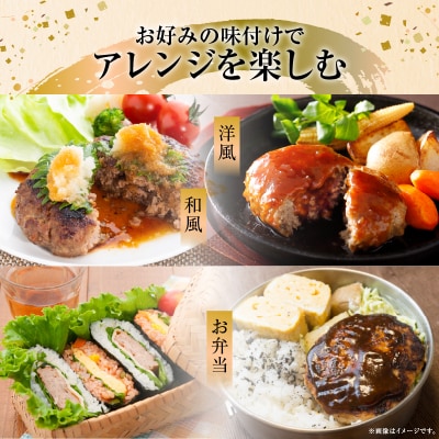 <全3回定期便・連続>【訳あり】浜中牛&ホエイ豚ハンバーグ定期便(計48個)_H0019-120