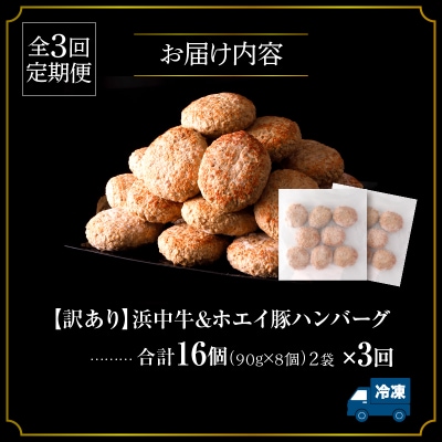 <全3回定期便・連続>【訳あり】浜中牛&ホエイ豚ハンバーグ定期便(計48個)_H0019-103