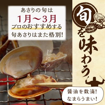 1月～3月発送分《先行受付・期間限定》浜中町産活あさり(500g×2袋)_H0023-029-01