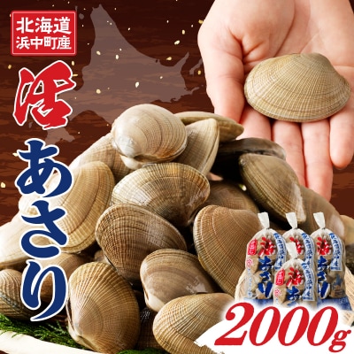 1月～3月発送分《先行受付・期間限定》浜中町産活あさり(500g×4袋)_H0023-030-01