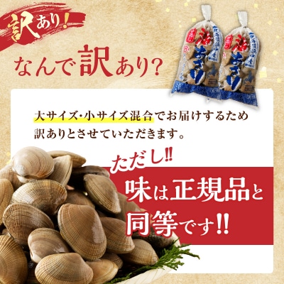 【訳あり】4月～6月発送《先行受付・期間限定》浜中町産活あさり(500g×4袋)_H0023-053