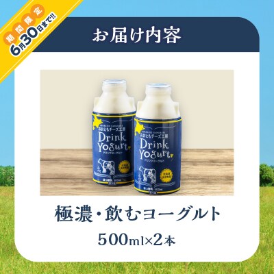 ≪期間限定≫【おおともチーズ工房】極濃・飲むヨーグルト　500ml×2本_H0003-011