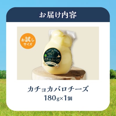 まずはお試し!!【おおともチーズ工房】カチョカバロチーズ　180g×1個_H0003-112