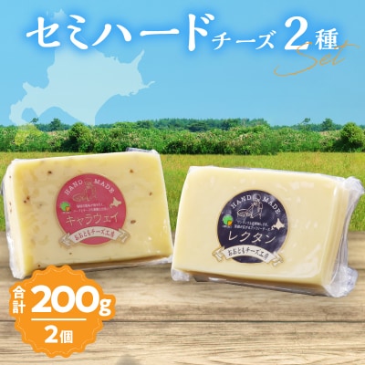 【おおともチーズ工房】セミハードチーズ2種セット(キャラウェイ・レクタン)_H0003-154