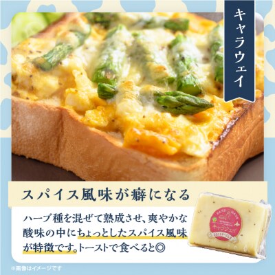 【おおともチーズ工房】セミハードチーズ2種セット(キャラウェイ・レクタン)_H0003-014