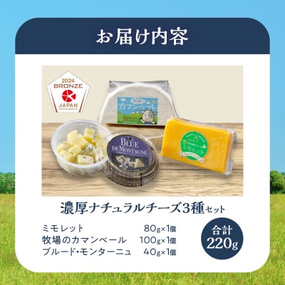 【おおともチーズ工房】《ワインとの相性抜群!!》濃厚ナチュラルチーズ3種セット_H0003-114