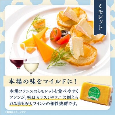 【おおともチーズ工房】《熟成の旨味を堪能!!》熟成セミハードチーズ3種セット_H0003-115