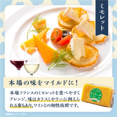 【おおともチーズ工房】《熟成の旨味を堪能!!》熟成セミハードチーズ3種セット_H0003-156