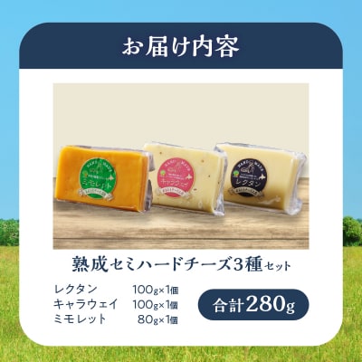 【おおともチーズ工房】《熟成の旨味を堪能!!》熟成セミハードチーズ3種セット_H0003-156