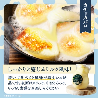 【おおともチーズ工房】《おつまみ&お料理に!!》カットチーズ&カチョカバロセット_H0003-020