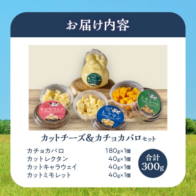【おおともチーズ工房】《おつまみ&お料理に!!》カットチーズ&カチョカバロセット_H0003-116