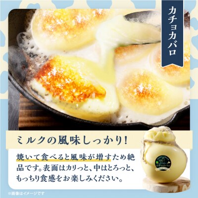 《なまらでかい!!》ミルキーな風味の巨大カチョカバロ(計550g)_H0003-160