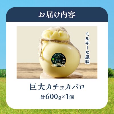 ≪値上げ予定≫《なまらでかい!!》ミルキーな風味の巨大カチョカバロ(計600g)_H0003-028
