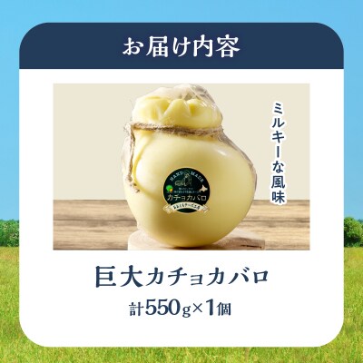《なまらでかい!!》ミルキーな風味の巨大カチョカバロ(計550g)_H0003-160