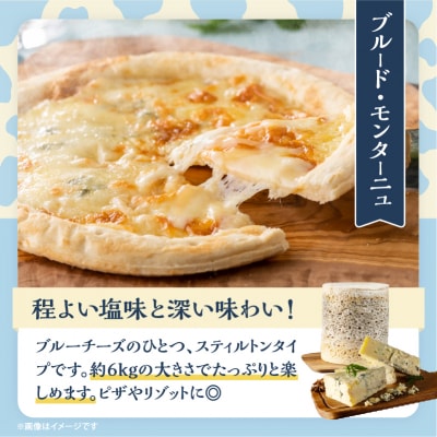 《熟成庫から直送!!》業務用サイズのブルーチーズホール(1個あたり6kg)_H0003-036