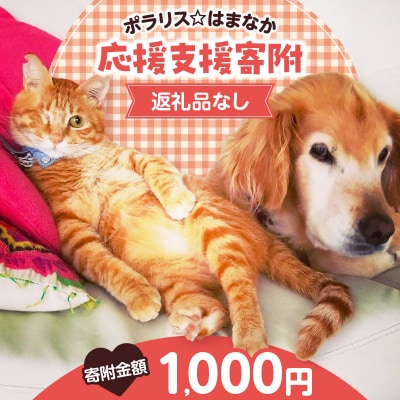 【動物愛護ボランティア】「ポラリス☆はまなか」を支援　1000円分 返礼品なし_H0048-001