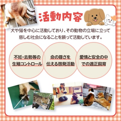 【動物愛護ボランティア】「ポラリス☆はまなか」を支援　1000円分 返礼品なし_H0048-001