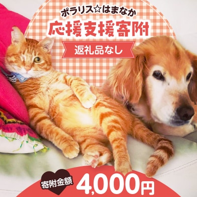 【動物愛護ボランティア】「ポラリス☆はまなか」を支援　4000円分 返礼品なし_H0048-004
