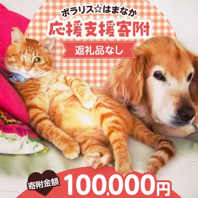 【動物愛護ボランティア】「ポラリス☆はまなか」支援 100000円分 返礼品なし_H0048-009