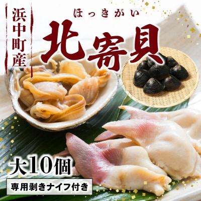 ほっき(大10個)【専用剥きナイフ付き】_H0022-001