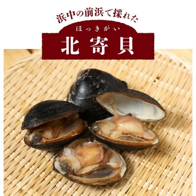 ほっき(大10個)【専用剥きナイフ付き】_H0022-001