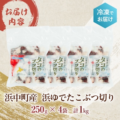 【14日以内に発送】浜ゆでたこぶつ切り(250g×4袋)_H0023-106
