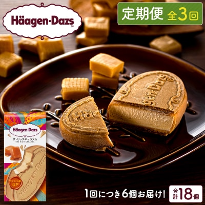 <3回連続定期便>ハーゲンダッツ『クリスピーサンド(リッチキャラメル)18個』_H0016-162