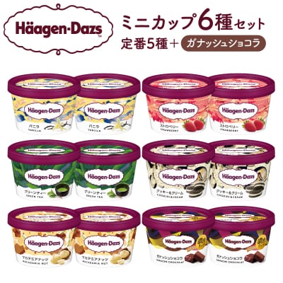 ハーゲンダッツ『ミニカップ12個(定番フレーバー&新商品 ガナッシュショコラ)』_H0026-062