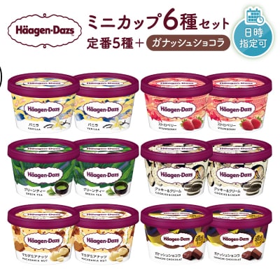 ハーゲンダッツ『ミニカップ12個(定番フレーバー&新商品 ガナッシュショコラ)』_H0016-114