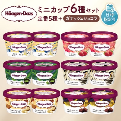 ハーゲンダッツ『ミニカップ12個(定番フレーバー&ガナッシュショコラ)』_H0016-1141