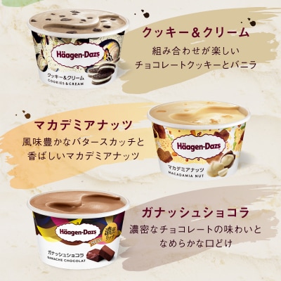 ハーゲンダッツ『ミニカップ12個(定番フレーバー&新商品 ガナッシュショコラ)』_H0016-114