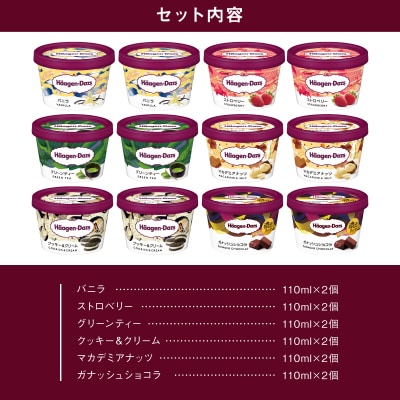ハーゲンダッツ『ミニカップ12個(定番フレーバー&新商品 ガナッシュショコラ)』_H0026-062