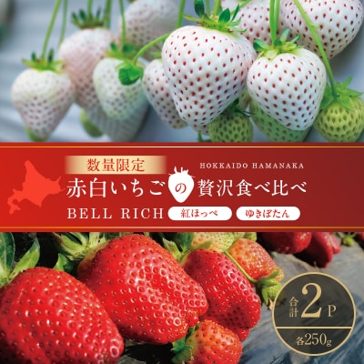 《数量限定》赤白いちごの贅沢食べ比べセット(合計2パック) BELL RICH_H0049-001