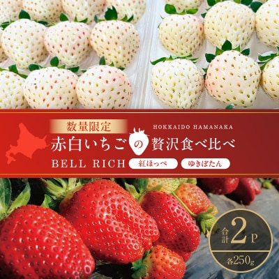 《数量限定》赤白いちごの贅沢食べ比べセット(合計2パック) BELL RICH_H0049-100