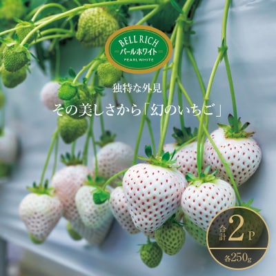 sʌthp[zCgh(v2pbN) BELL RICH_H0049-002