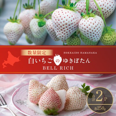 《数量限定》白いちご”ゆきぼたん”(計2パック) BELL RICH_H0049-002