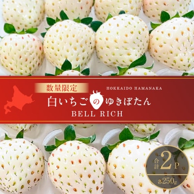 《数量限定》白いちご”ゆきぼたん”(計2パック) BELL RICH_H0049-002