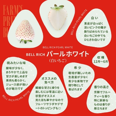 数量限定》白いちご”パールホワイト”(計2パック) BELL