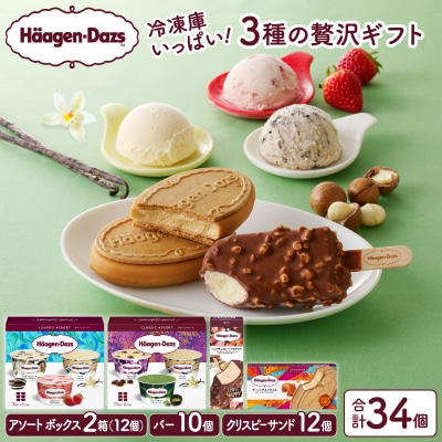 【令和8年1月発送】ボリューム満点!!ハーゲンダッツ 3種の贅沢ギフト_H0026-068-1