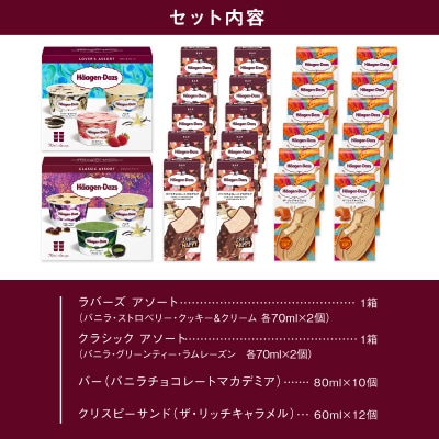ボリューム満点!!ハーゲンダッツ 3種の贅沢ギフト_H0016-136